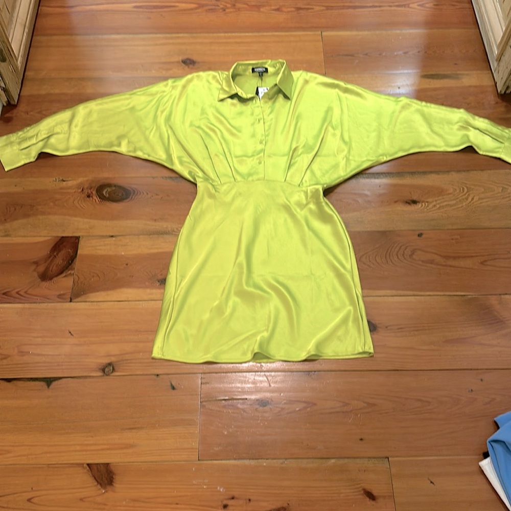 Express Mini Silk Dress